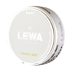 LEWA Citrus & Mint