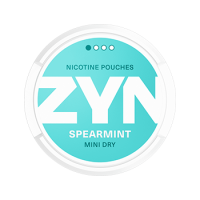 ZYN Spearmint Mini Dry