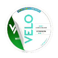 VELO Witty Spearmint