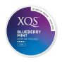 XQS Blueberry Mint Strong