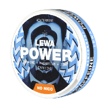 LEWA POWER Wintermint